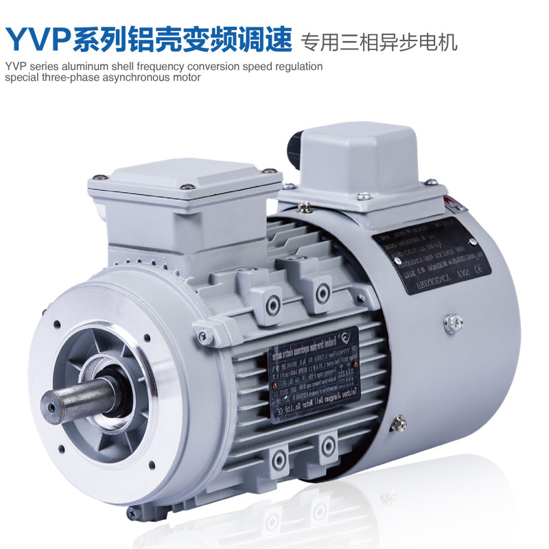 YVP鋁殼變頻電機.jpg